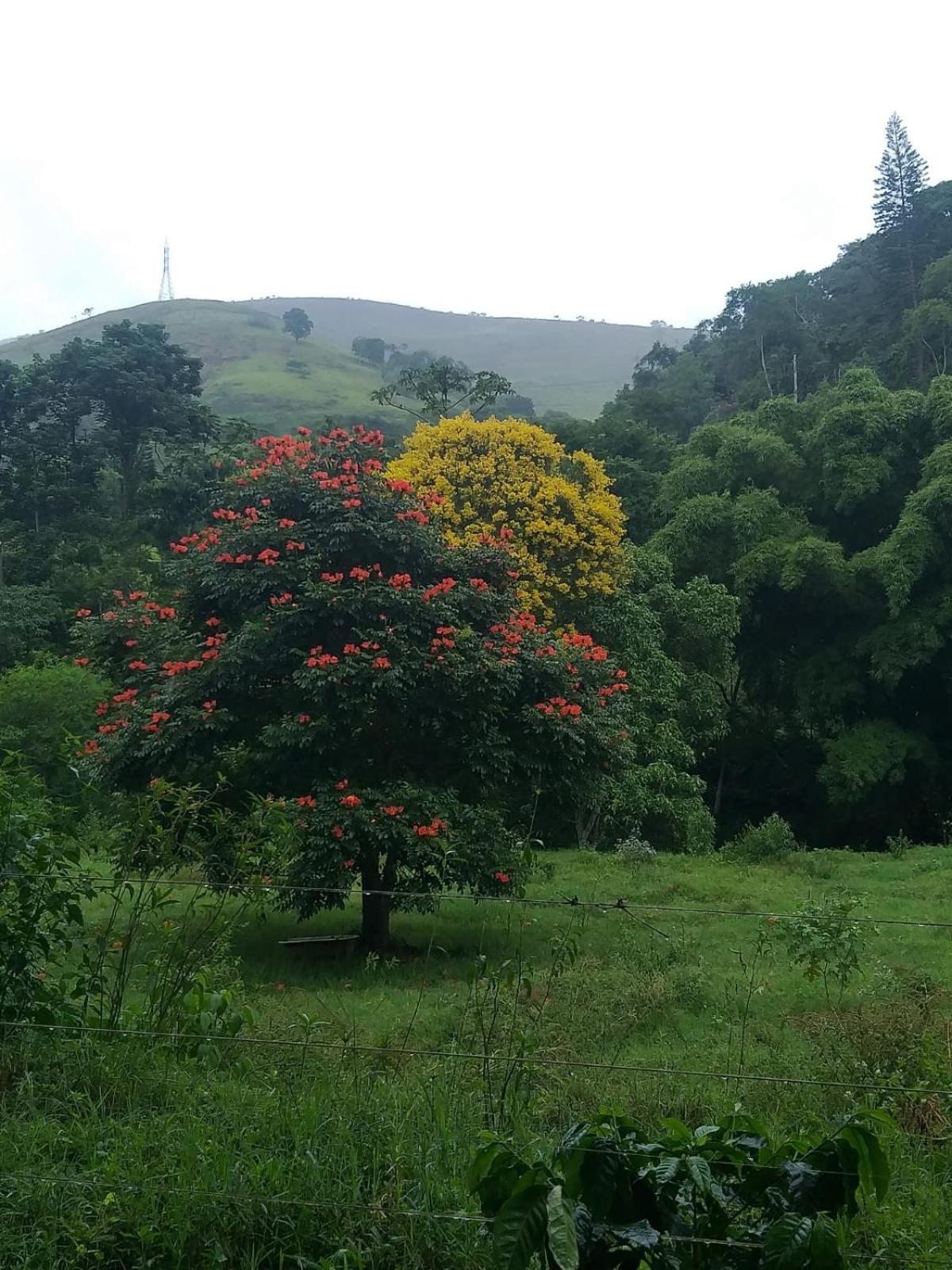 فيلا Petrópolisفي Fazenda Piloes المظهر الخارجي الصورة